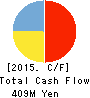 JPN Holdings Company, Limited Cash Flow Statement 2015年1月期