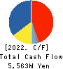 SAKATA INX CORPORATION Cash Flow Statement 2022年12月期