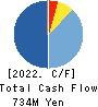 HAVIX CORPORATION Cash Flow Statement 2022年3月期