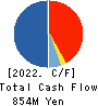 LONGLIFE HOLDING Co., Ltd. Cash Flow Statement 2022年10月期