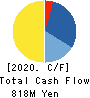 TDSE Inc. Cash Flow Statement 2020年3月期