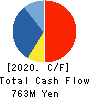 Tri-Stage Inc. Cash Flow Statement 2020年2月期