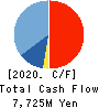 CRE,Inc. Cash Flow Statement 2020年7月期