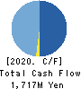 AHC GROUP INC. Cash Flow Statement 2020年Nov期 AHC GROUP INC. Cash Flow Statement 2020年11月期