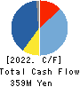DREAM VISION CO.,LTD. Cash Flow Statement 2022年3月期