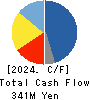 Allied Architects,Inc. Cash Flow Statement 2024年12月期