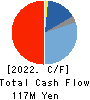 Gaiax Co.Ltd. Cash Flow Statement 2022年12月期