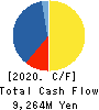 TOKYO BOARD INDUSTRIES CO.,LTD. Cash Flow Statement 2020年3月期