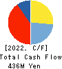 CVS Bay Area Inc. Cash Flow Statement 2022年Feb期 CVS Bay Area Inc. Cash Flow Statement 2022年2月期