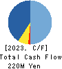 Branding Technology Inc. Cash Flow Statement 2023年3月期