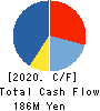 SHINTO COMPANY LIMITED Cash Flow Statement 2020年6月期