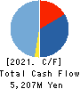 CareNet,Inc. Cash Flow Statement 2021年12月期