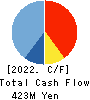 IX Knowledge Incorporated Cash Flow Statement 2022年3月期