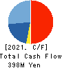 R&D COMPUTER CO.,LTD. Cash Flow Statement 2021年3月期