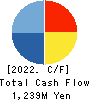 TANABE CONSULTING GROUP CO.,LTD. Cash Flow Statement 2022年Mar期 TANABE CONSULTING GROUP CO.,LTD. Cash Flow Statement 2022年3月期