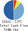 HAVIX CORPORATION Cash Flow Statement 2022年Mar期 HAVIX CORPORATION Cash Flow Statement 2022年3月期