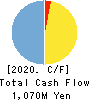 Techno Mathematical Co.,Ltd. Cash Flow Statement 2020年3月期