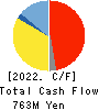 TOYO DRILUBE CO.,LTD. Cash Flow Statement 2022年Jun期 TOYO DRILUBE CO.,LTD. Cash Flow Statement 2022年6月期
