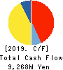 YAMAE GROUP HOLDINGS CO.,LTD. Cash Flow Statement 2019年3月期