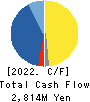TriIs Incorporated Cash Flow Statement 2022年12月期