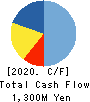 SCINEX CORPORATION Cash Flow Statement 2020年3月期