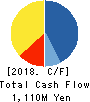 HOTEL NEWGRAND CO.,LTD. Cash Flow Statement 2018年11月期