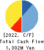 ImageONE Co.,Ltd. Cash Flow Statement 2022年9月期