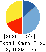JDC CORPORATION Cash Flow Statement 2020年5月期