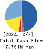 TSUKISHIMA HOLDINGS CO., LTD. Cash Flow Statement 2024年Mar期 TSUKISHIMA HOLDINGS CO., LTD. Cash Flow Statement 2024年3月期