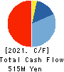 SDS HOLDINGS Co.,Ltd. Cash Flow Statement 2021年3月期