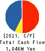 FULUHASHI EPO CORPORATION Cash Flow Statement 2021年Mar期 FULUHASHI EPO CORPORATION Cash Flow Statement 2021年3月期