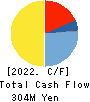 Datasection Inc. Cash Flow Statement 2022年3月期