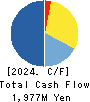 SOCIALWIRE CO.,LTD. Cash Flow Statement 2024年3月期