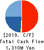 TOW CO.,LTD. Cash Flow Statement 2019年6月期