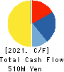 Datasection Inc. Cash Flow Statement 2021年Mar期 Datasection Inc. Cash Flow Statement 2021年3月期