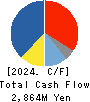 INTAGE HOLDINGS Inc. Cash Flow Statement 2024年6月期