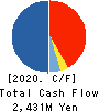 robot home Inc. Cash Flow Statement 2020年12月期