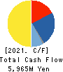 V-cube,Inc. Cash Flow Statement 2021年12月期