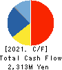 ARAYA INDUSTRIAL CO.,LTD. Cash Flow Statement 2021年3月期