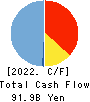 Tokyo Kiraboshi Financial Group, Inc. Cash Flow Statement 2022年3月期