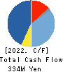 Alue Co.,Ltd. Cash Flow Statement 2022年12月期