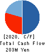 Mental Health Technologies Co.,Ltd. Cash Flow Statement 2020年12月期