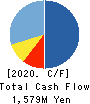 ExaWizards Inc. Cash Flow Statement 2020年3月期
