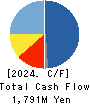 Kudan Inc. Cash Flow Statement 2024年3月期