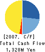 DesignEXchange Co.,Ltd. Cash Flow Statement 2007年12月期