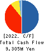SRE Holdings Corporation Cash Flow Statement 2022年3月期