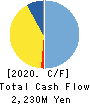 Dainichi Co.,Ltd. Cash Flow Statement 2020年3月期