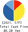SANKYO CO.,LTD. Cash Flow Statement 2021年3月期