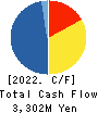 SINANEN HOLDINGS CO.,LTD. Cash Flow Statement 2022年3月期