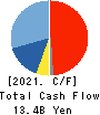 MCJ Co.,Ltd. Cash Flow Statement 2021年3月期